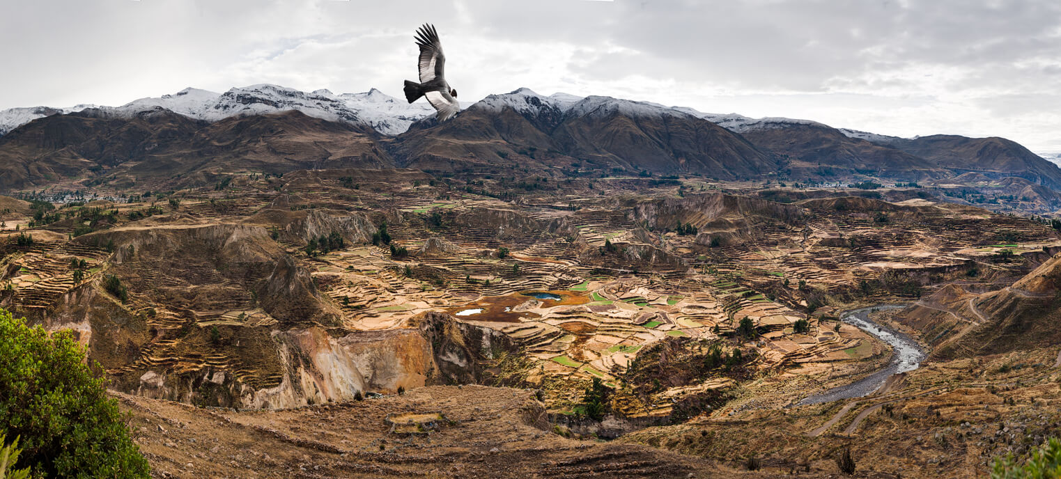 Cañón del Colca, uno de los mayores atractivos naturales de Perú