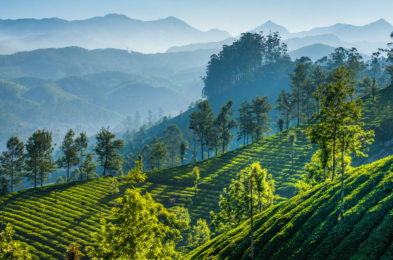 Las montañas de Cardamomo, un paisaje de ensueño