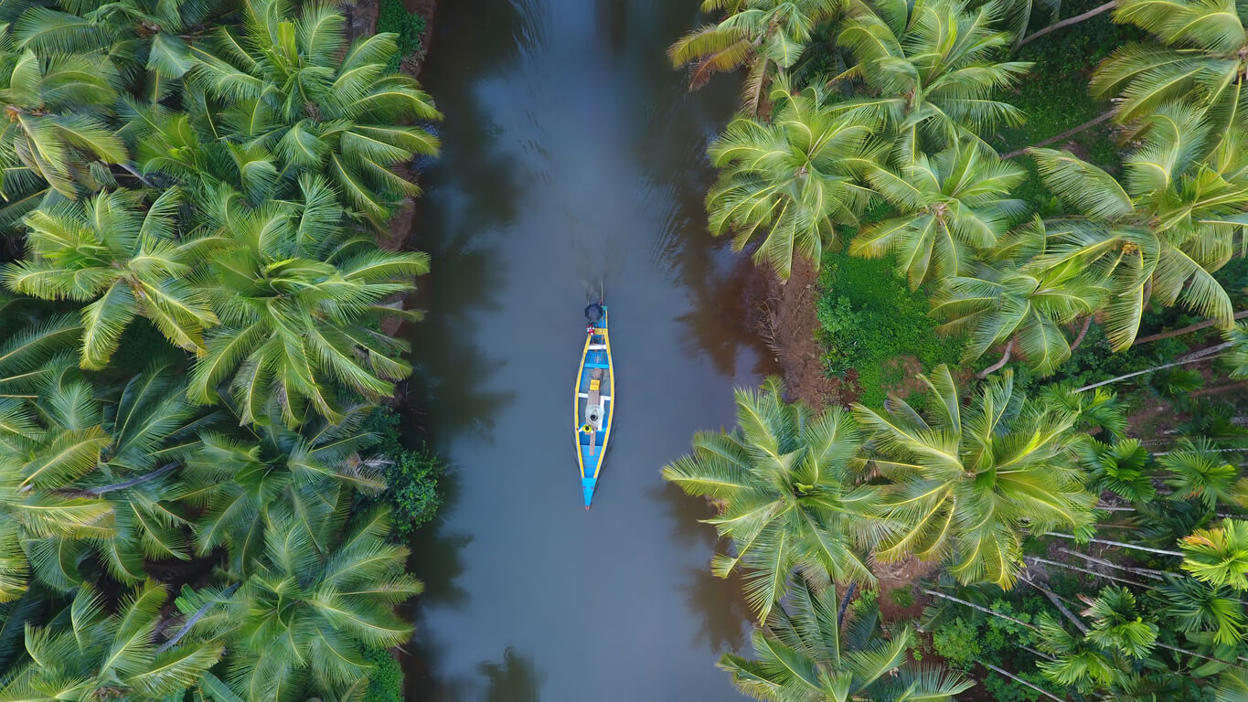 Las montañas de Cardamomo, un paisaje de ensueño