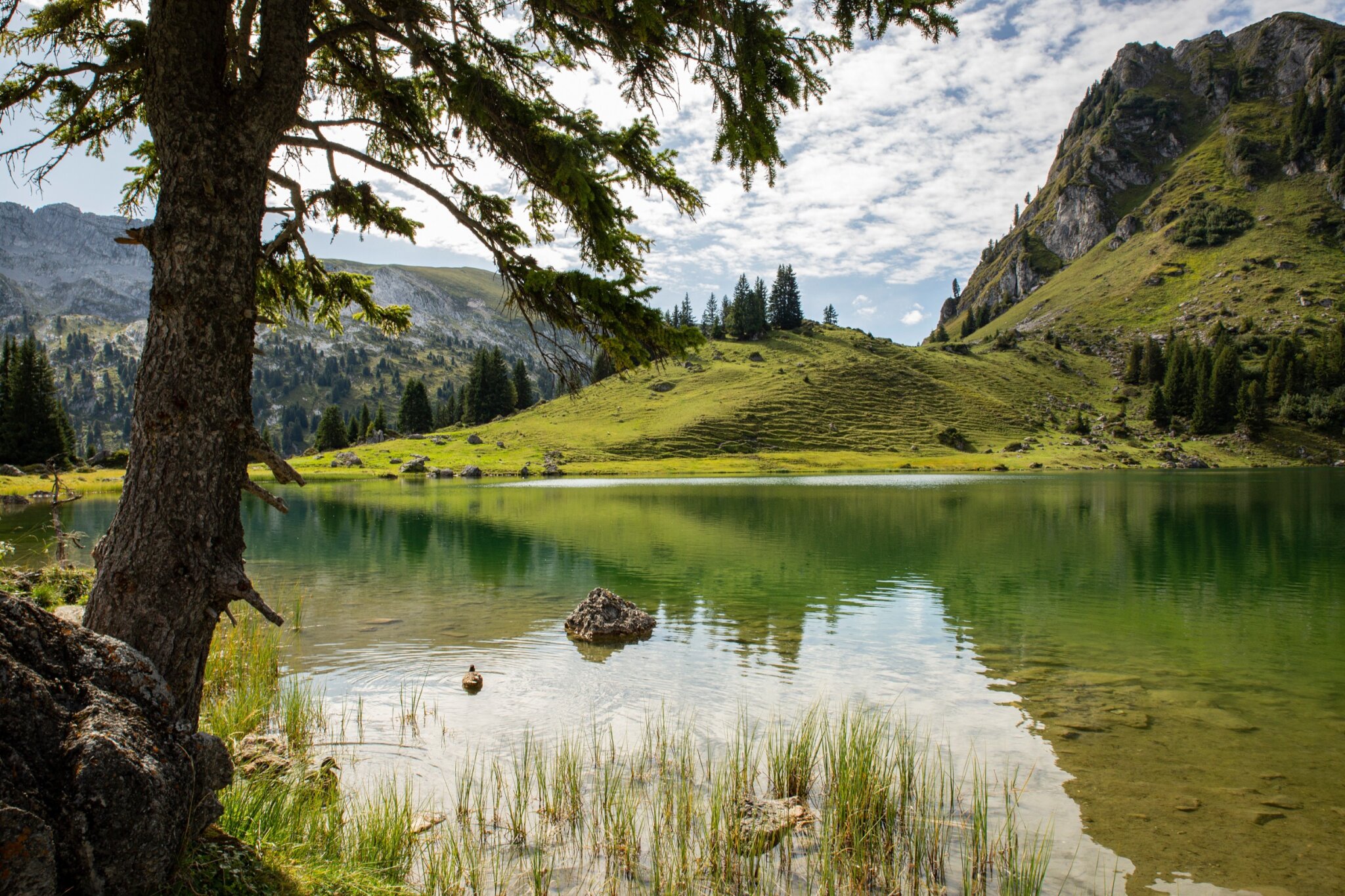 6 parques naturales en Suiza