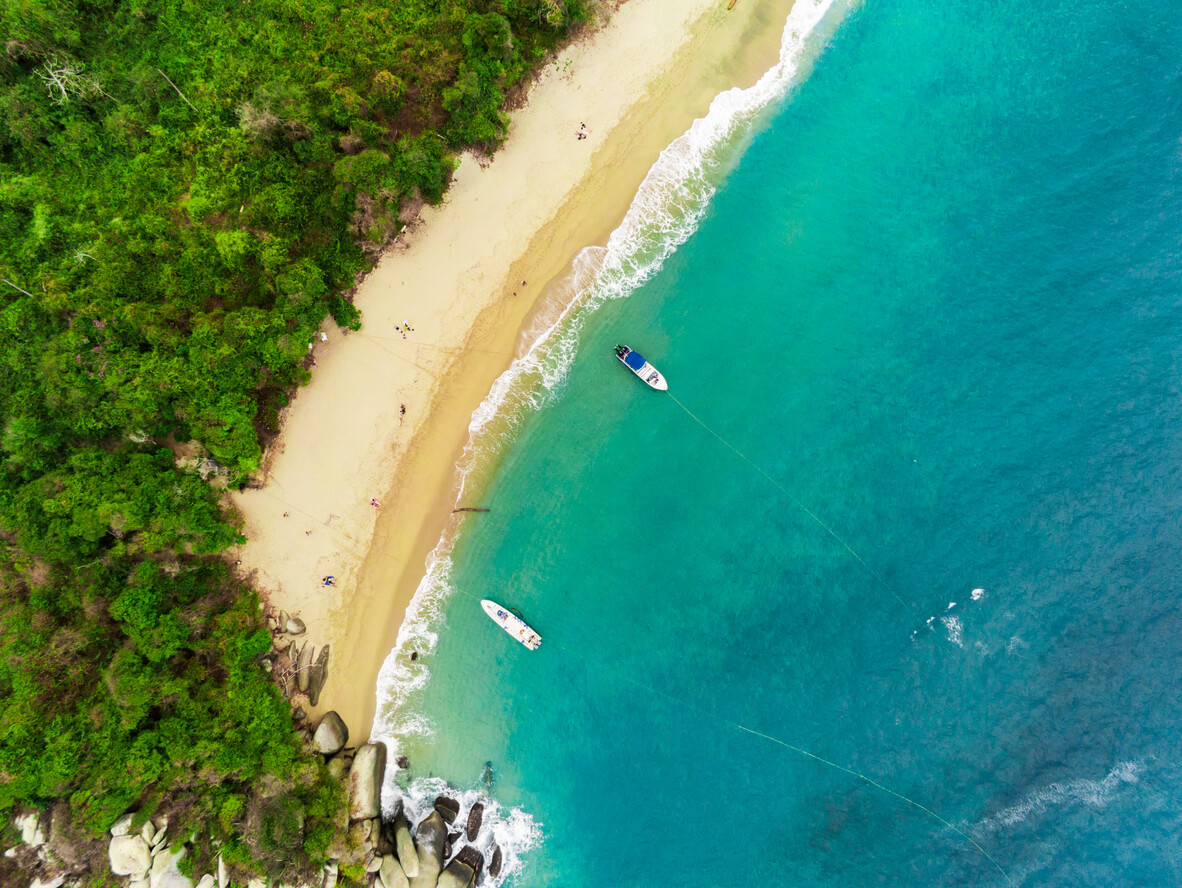 Bucea en el Parque Tayrona, Colombia