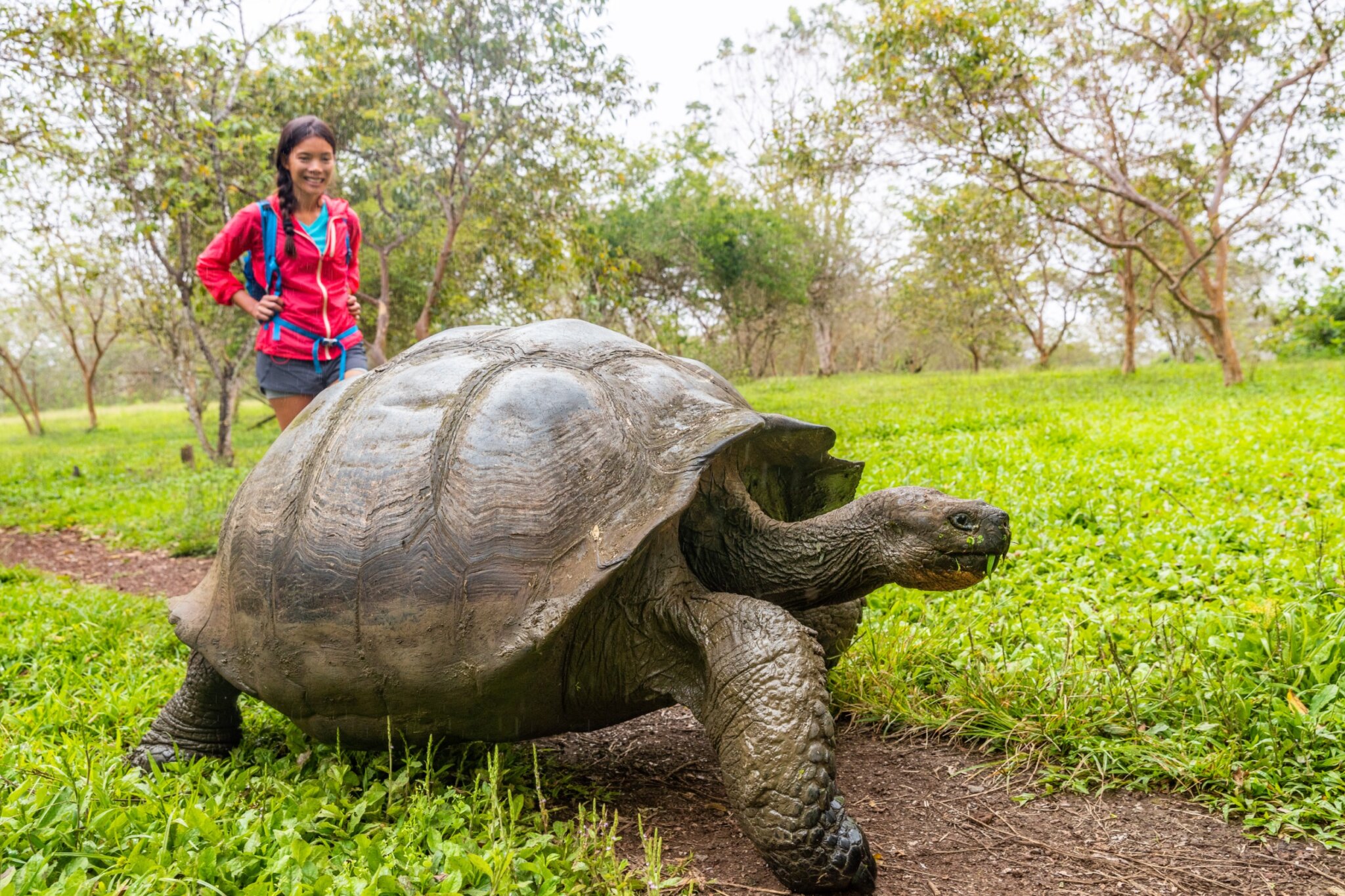 Recorre y conoce Ecuador