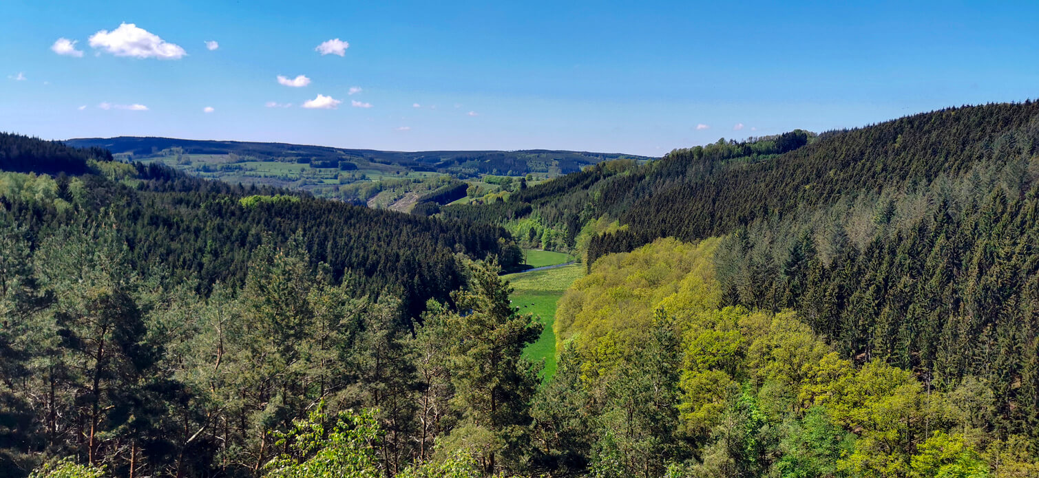 Vista panorámica del parque de Ardenas