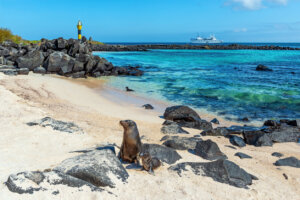 Islas Galápagos, un atractivo mágico de Ecuador